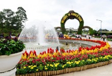 SAIGON - DALAT - MUINE - SAIGON TOUR 7 DAYS 6 NIGHTS (Private tour)